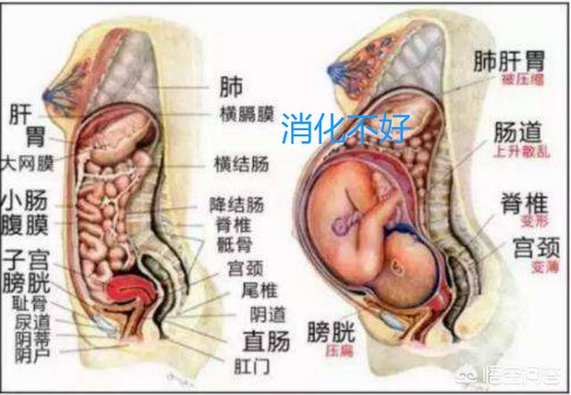 孕妇太兴奋睡不着怎么办:孕妇为什么晚上很难入睡，但是白天就没有觉得不舒服呢？