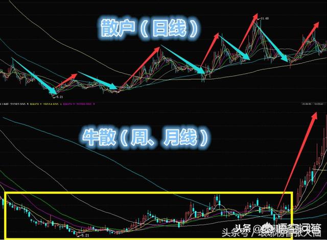 中山拉布拉多论坛:你觉得中国未来发展潜力最大的六个城市是哪些？