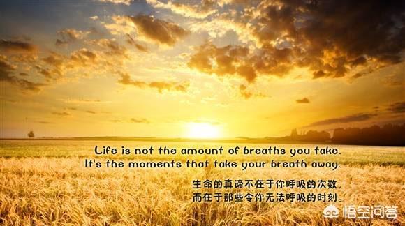 艳色 问问狗电影院:那些不想开会员，还想免费看电影的人，是什么心态？