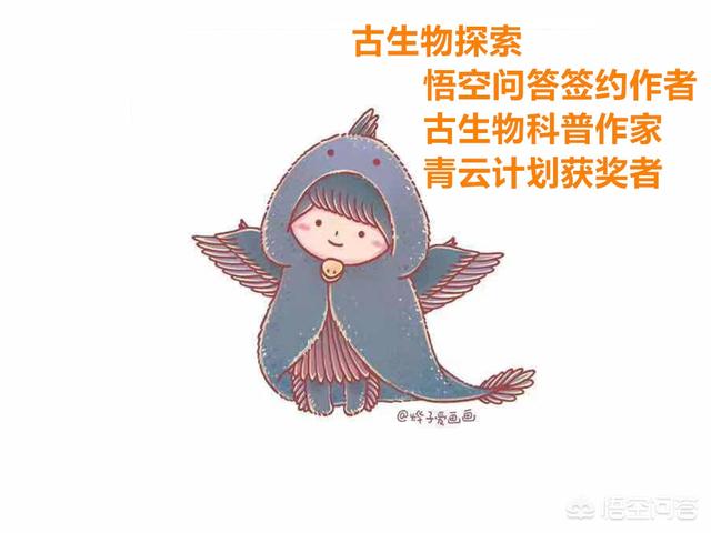 江苏盐城抹香鲸的图片:鲸在长成年之前是不是特别容易遭到其他大型动物的攻击？