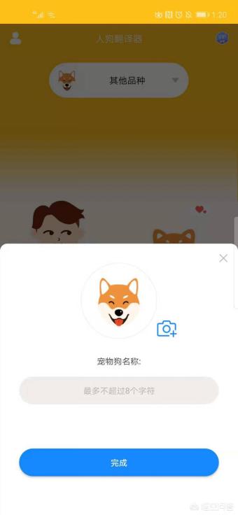 狗语言翻译机吧:有人知道狗狗的翻译器怎么用吗？ 动物语言翻译机