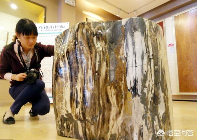 最贵的树化玉原石图片,请大师看一下:这方树化石玉化的怎么样？