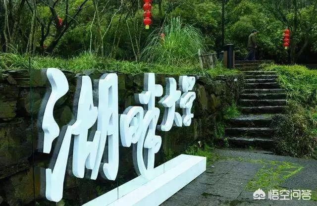 美团成立美团大学,为何互联网巨头都偏爱“教育”？