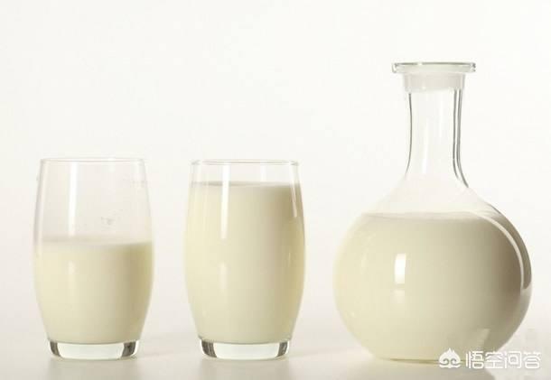鲜羊奶比鲜牛奶更好吗？