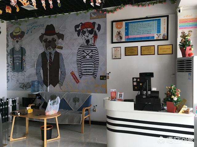 开宠物店赚钱吗贴吧:在县城开家宠物店怎么样？有利润吗？