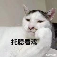 富力鲜猫罐头 诱食剂:富力鲜猫罐头幼猫可以吃吗 为什么主粮罐头分几次喂猫咪就不吃了？