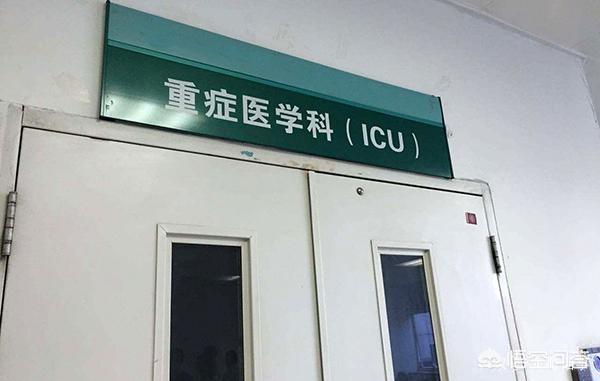 15岁学生持砖头连续暴力击打老师头部9次这样的学生该接受什么样的