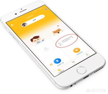 狗语翻译器效果如何:有没有什么软件可以翻译狗声？