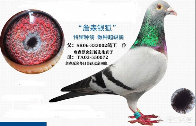 工商银行近亲繁殖:如果世上仅剩一对男女，他们还能繁衍下去吗？为什么？