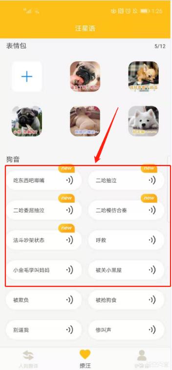 狗狗语言翻译器中文语言:有谁用过人狗翻译器的软件吗？你觉得狗狗真的能听懂吗？