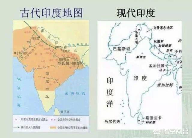 神话白博美犬舍官网:向往优宠和向往法国斗牛犬舍是什么关系，买狗狗选这家怎么样？