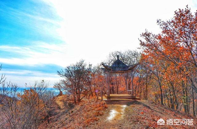 莽山森林公园红叶:深秋季节了，京津冀地区有什么看红叶的好地方吗？