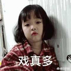 猫咪舔了皮特芬:小猫肚子上起藓怎么处理？