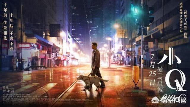 导肓犬小q在线观看:如何评价任达华主演的导盲犬电影《小Q》？