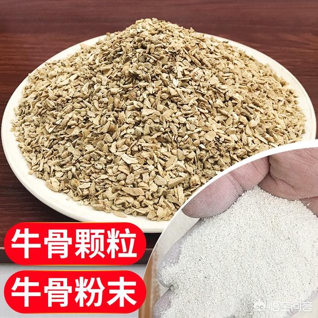 头条问答 香樟盆栽可以用骨粉做肥料吗 什么花适合用骨粉 茉莉花能用 栀子花能用吗 阳台小苗叔的回答 0赞