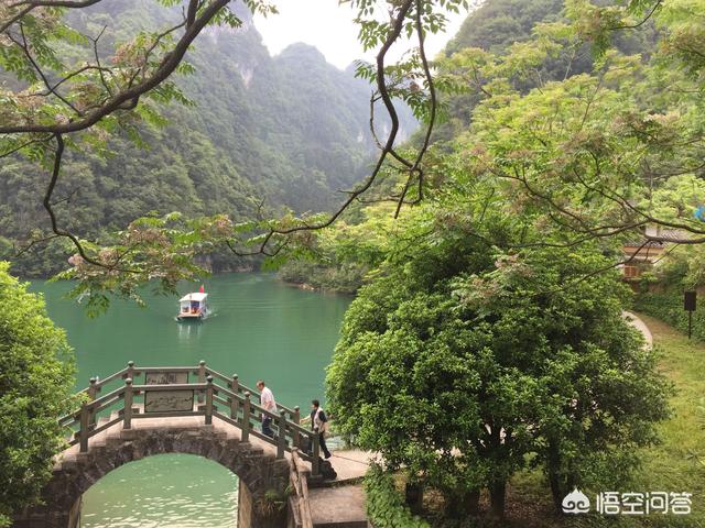 云南观鸟会:怎么去潞江坝百花岭（高黎贡山）观鸟？有什么推荐和建议的？ 云南观鸟视频