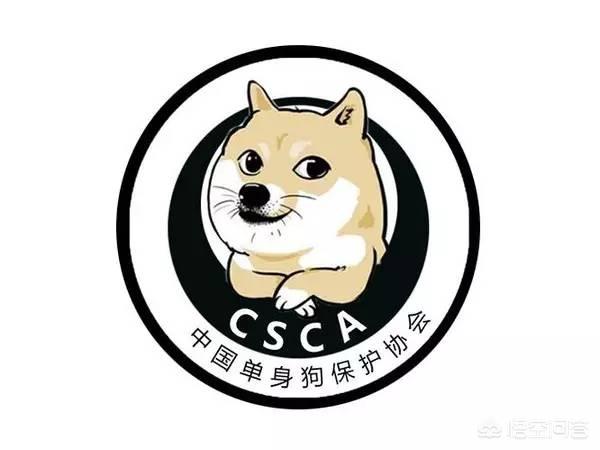 适合单身人士的微信头像有什么推荐