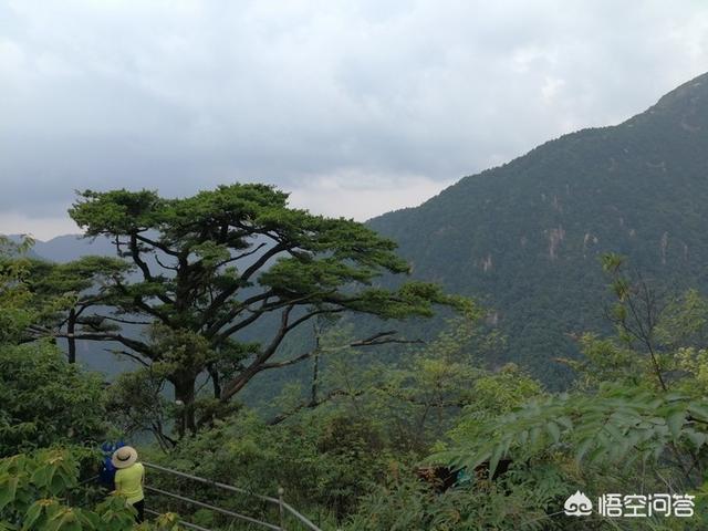 莽山国家森林公园漂流:湖南郴州蟒山旅游景点怎么样？值得一游吗？