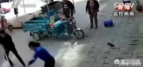 洛阳罗威纳犬价格:违规饲养烈性犬，洛阳一居民被罚1000元, 你怎么看？