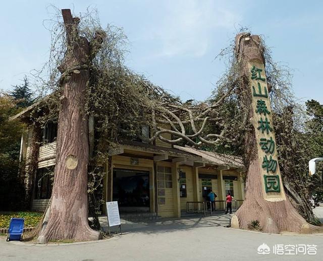 红山动物园:夏天适合去红山动物园吗？