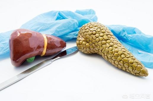 膀胱结石症状预防:﻿冬季快到了，如何预防羊尿结石？