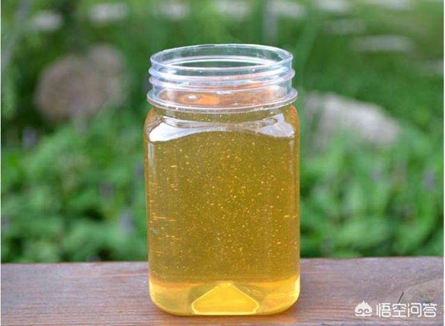 东东画眉鸟的饲养视频:驯养画眉鸟，需要注意些什么呢？