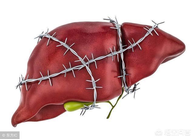 肝开始病变时,脚底会出现4种标记,若1个不占,肝病离你还很远！指的是哪4种？