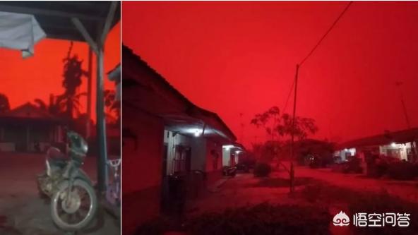 印尼红毛猩猩被强迫:印尼天空变血红色是怎么回事？