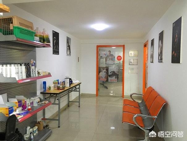 上海宠物连锁店加盟费多少钱:上海宠物店加盟品牌是什么？ 烧烤连锁店加盟费多少