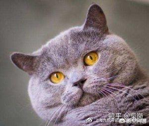 30岁以后容易“发腮”么？