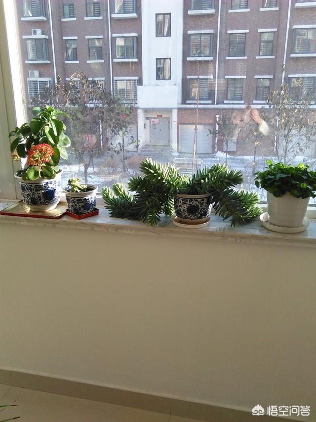 家里收纳整理有妙招,家里面太乱了该怎么收拾？