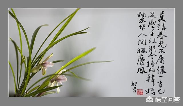 刚开始阅读,有什么好书推荐？