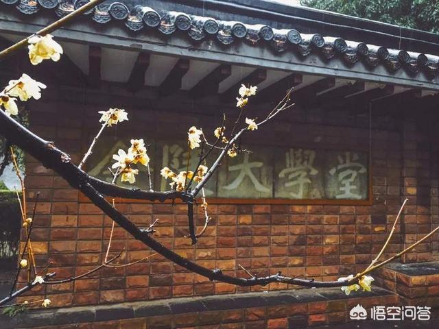 南京大学在世界和全国排名如何？有哪些厉害的学科？