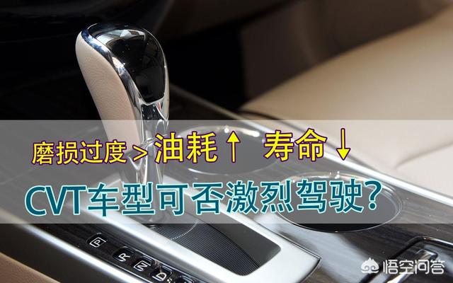 西施犬寿命近30天搜索趋势:CVT变速箱的寿命有多长？能跑到30万公里或使用15年吗？