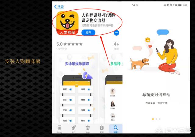 狗语翻译机:有没有什么翻译器能够知道狗狗在说什么？