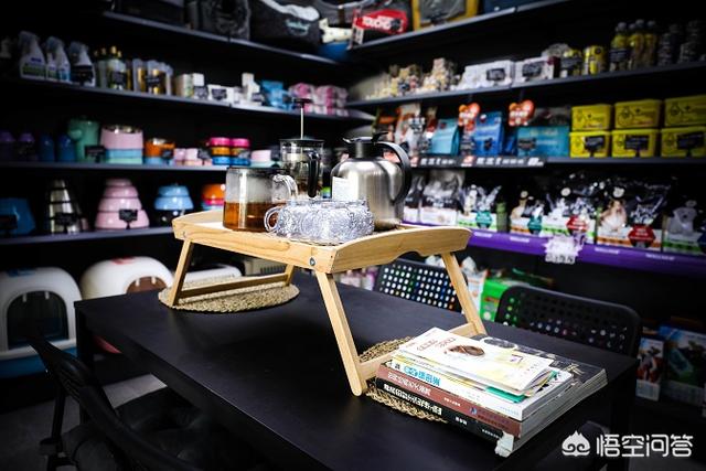 武汉宠物店团购:武汉开宠物美容店有发展前景吗？