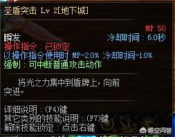 Dnf帕拉丁为什么搬砖？？