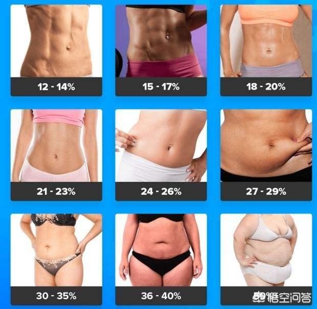 头条问答 体脂率达到多少时可以开始增肌 51个回答