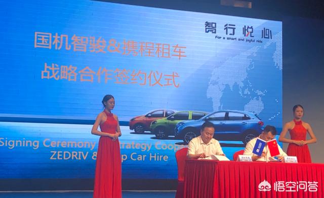 国机新能源汽车张欣，新能源汽车能拯救中国车市吗？
