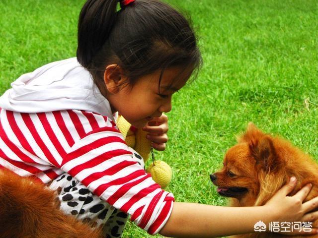 小孩 狗:孩子和狗狗相处需要注意什么？