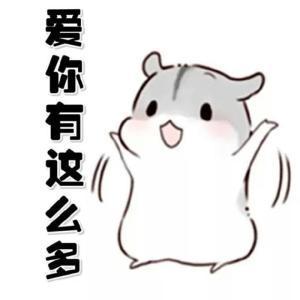 百科网