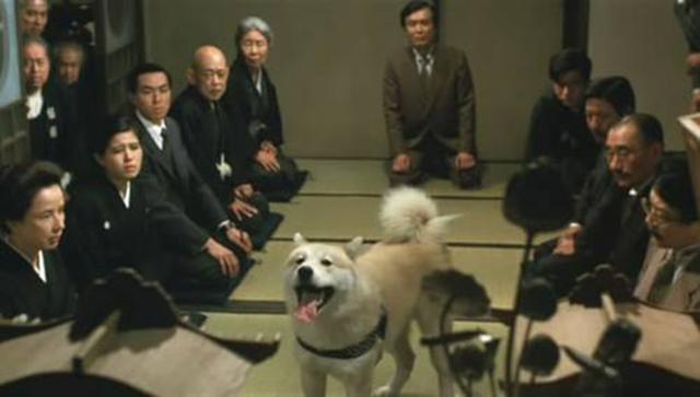德国牧羊犬电影:电影《一条狗的使命》中的主角一共活了几生？ 吉娃娃和德国牧羊犬的电影