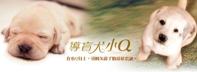 德国牧羊犬电影:电影《一条狗的使命》中的主角一共活了几生？ 吉娃娃和德国牧羊犬的电影
