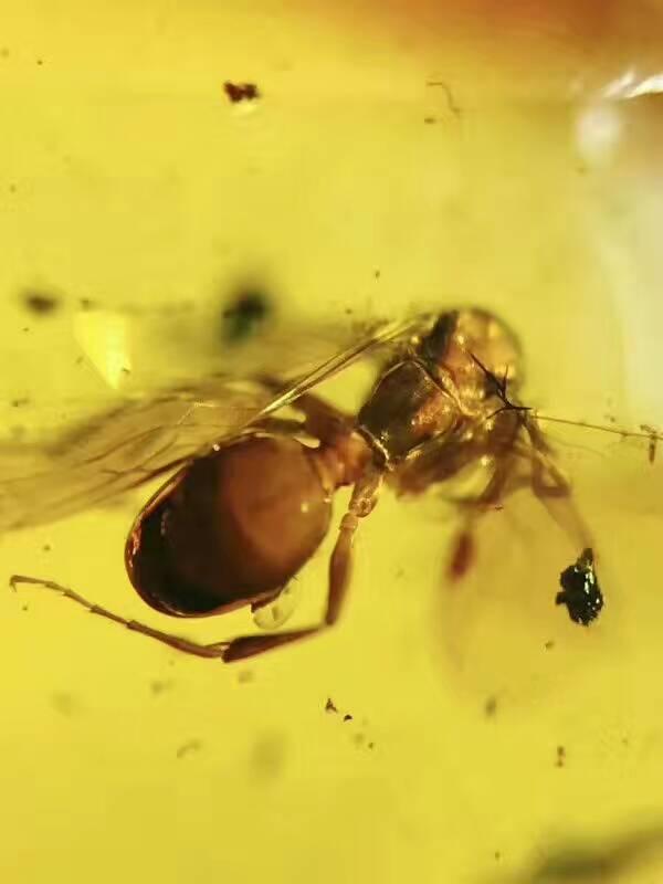 10万左右的翡翠手镯图片,世界上最贵的翡翠手镯是什么？