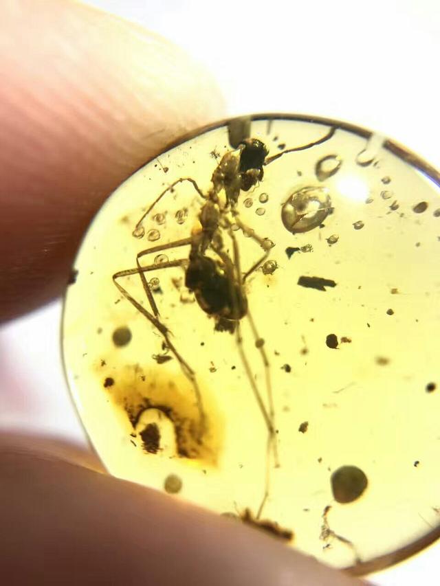 10万左右的翡翠手镯图片,世界上最贵的翡翠手镯是什么？