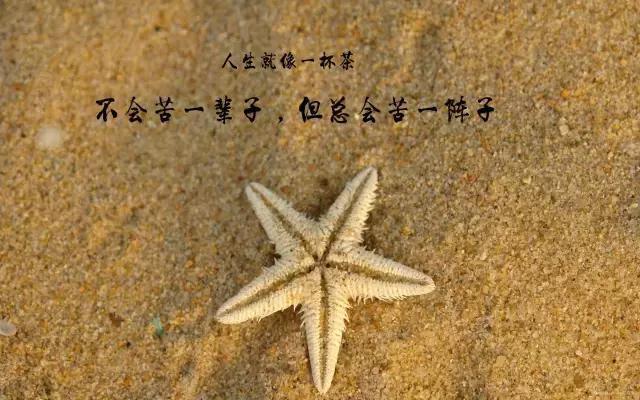 孩子9月就要上一年级了,但是拼音基础几乎为零,我该怎么做？