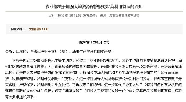 娃娃鱼怎么烧法，正宗娃娃鱼的制作方法是怎样的？