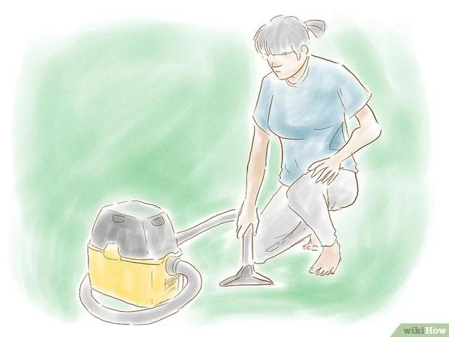 罗斯蔓狗狗清洁除味排行榜:如何有效去除猫狗的屎尿残留味？
