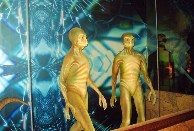 地平线系列 狗狗秘闻:为什么越来越多城市大龄女性，宁愿养毛孩子也不愿找对象？