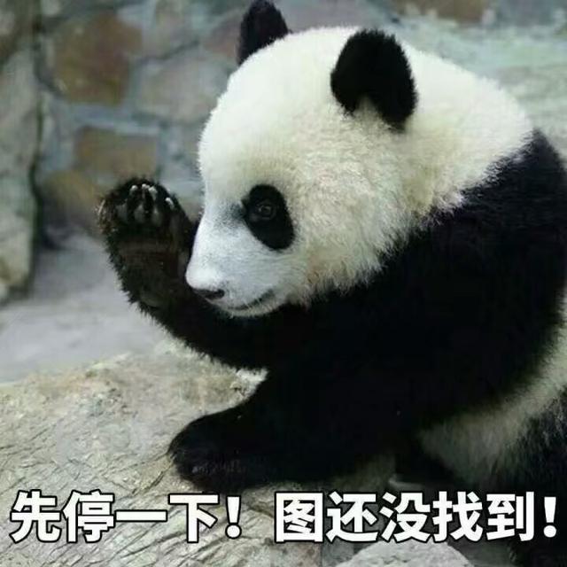 为什么林依晨主演的电视剧质量普遍比电影好很多？